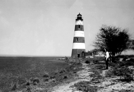 Sapelo Island Light