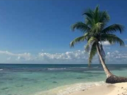 Relaxing Video of A Tropical Beach with Blue Sky White Sand and Palm Tree